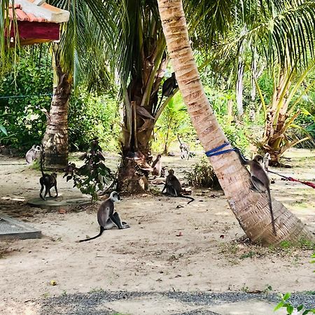 Hanguk Lanka Lagoon Villa タンガラ エクステリア 写真