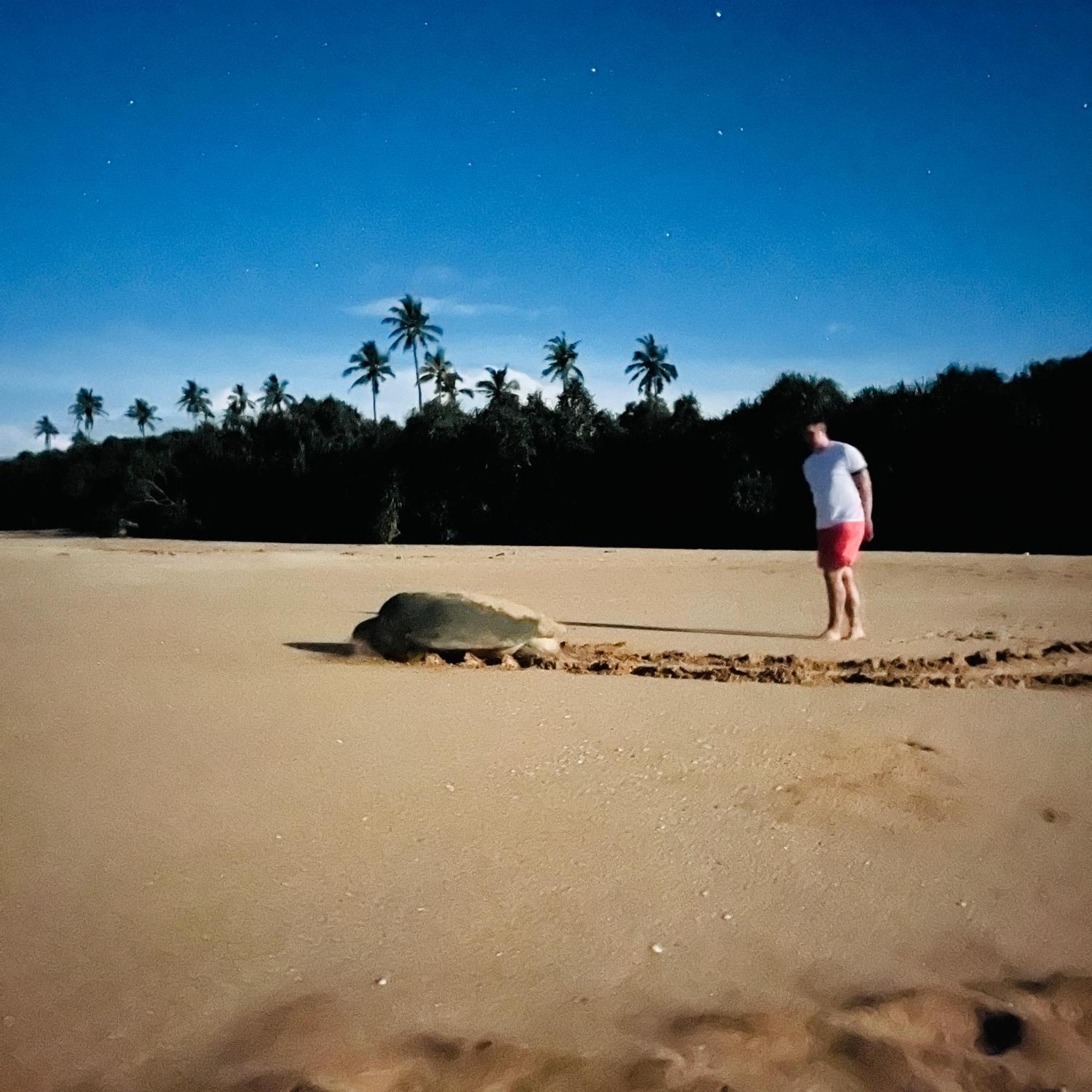 Hanguk Lanka Lagoon Villa タンガラ エクステリア 写真