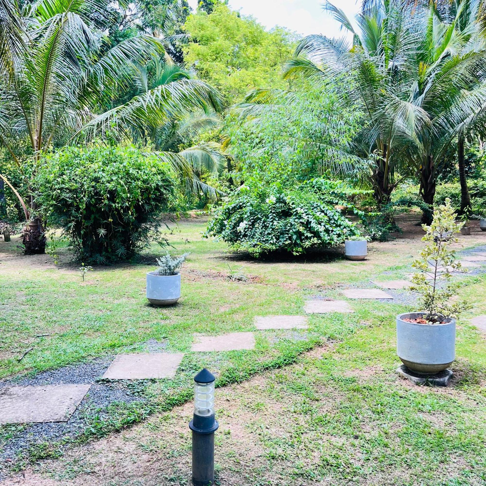 Hanguk Lanka Lagoon Villa タンガラ エクステリア 写真