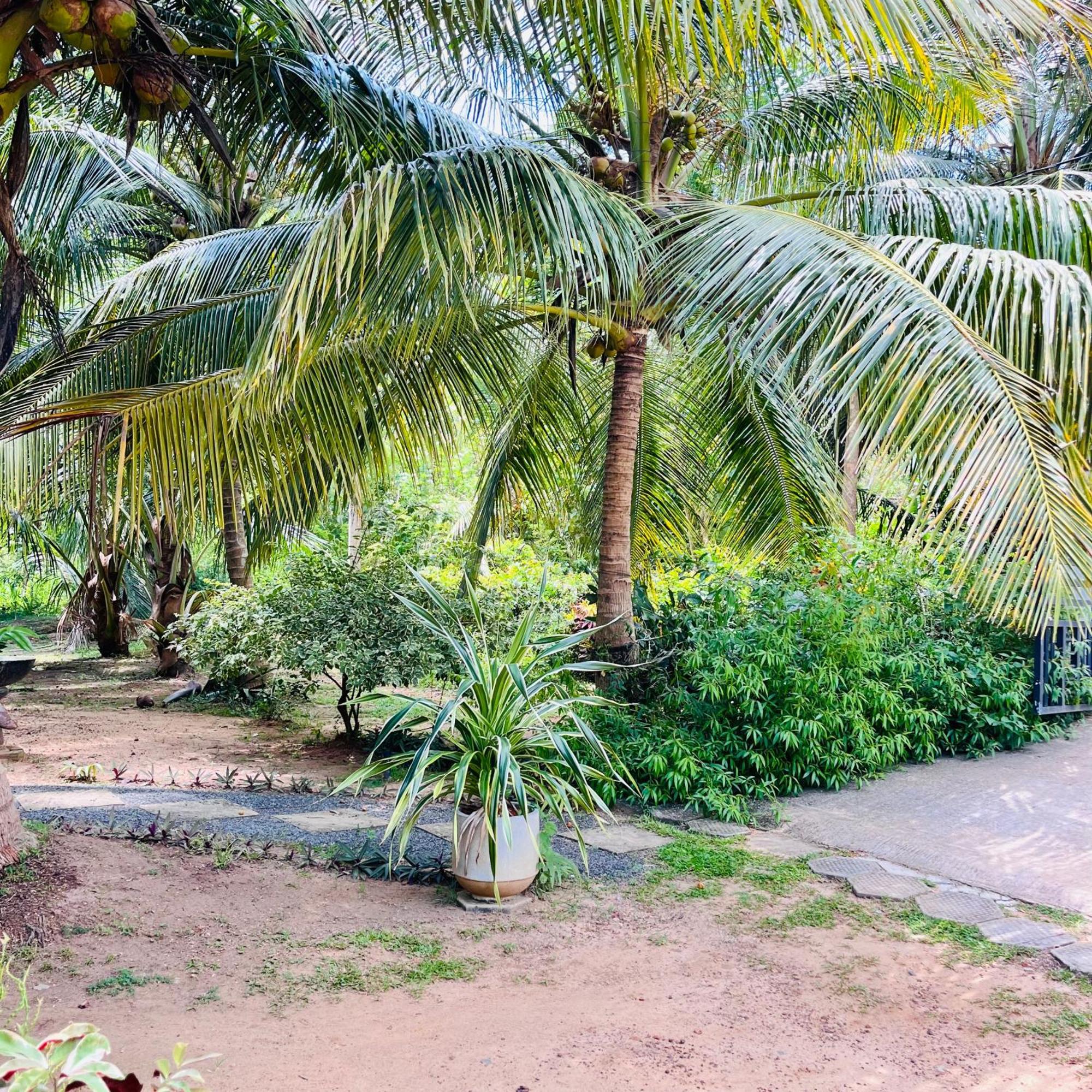 Hanguk Lanka Lagoon Villa タンガラ エクステリア 写真