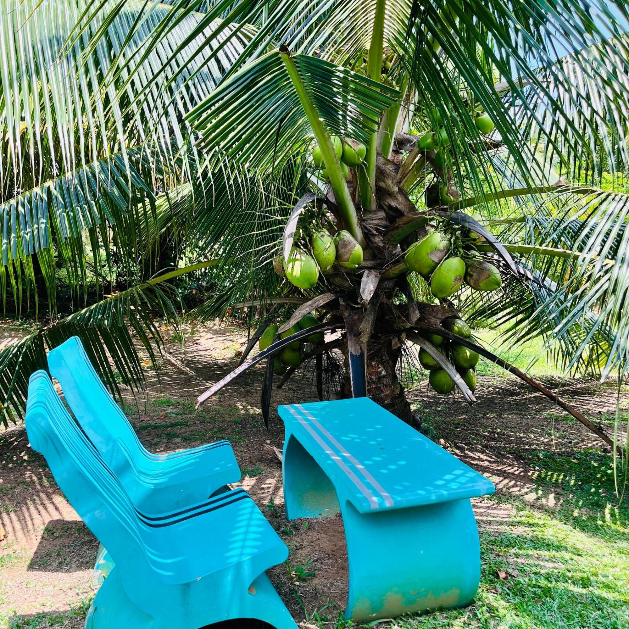 Hanguk Lanka Lagoon Villa タンガラ エクステリア 写真