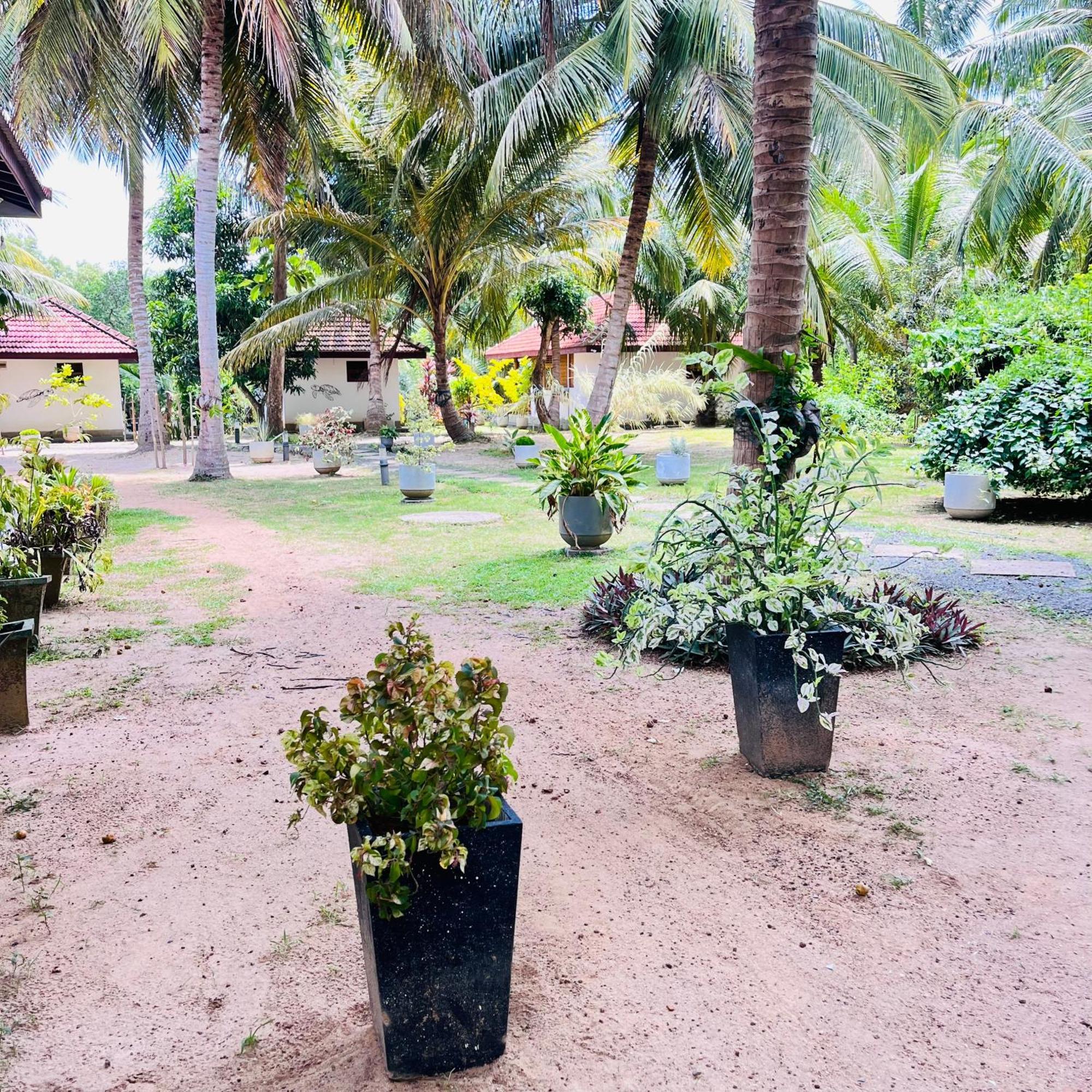 Hanguk Lanka Lagoon Villa タンガラ エクステリア 写真