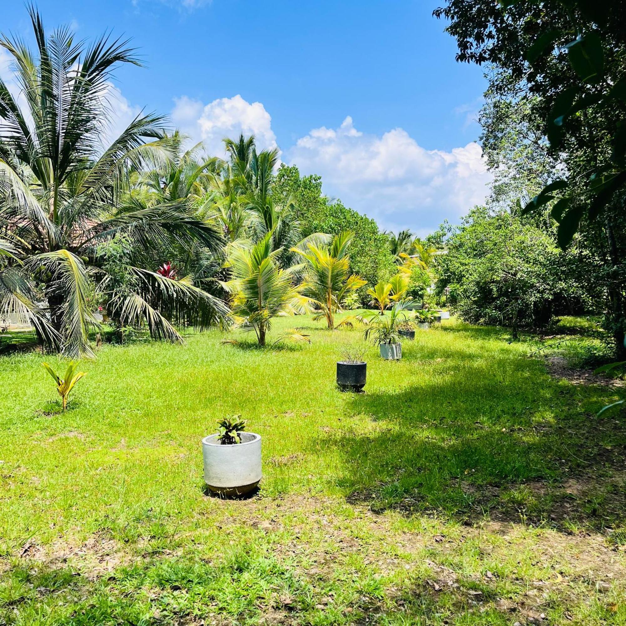 Hanguk Lanka Lagoon Villa タンガラ エクステリア 写真