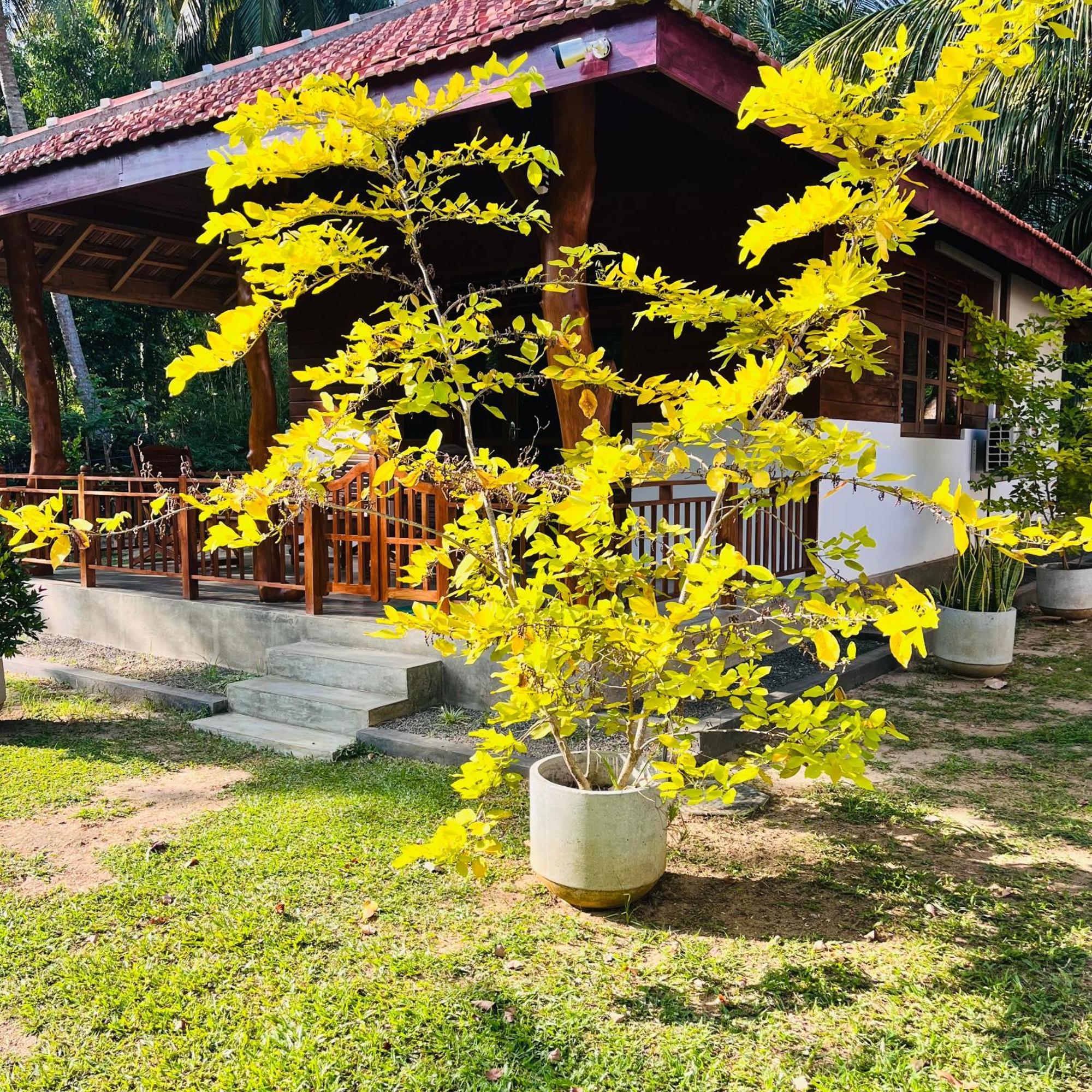Hanguk Lanka Lagoon Villa タンガラ エクステリア 写真
